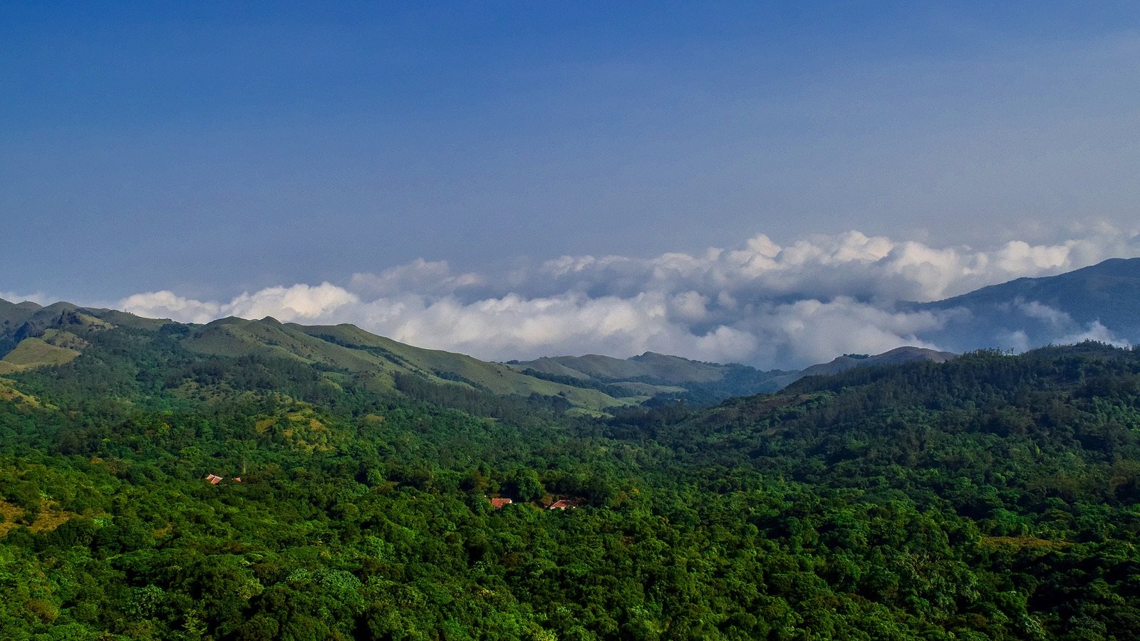 Brahmagiri Hill